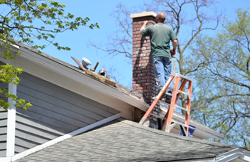Chimney & Fireplace Inspections Services in Aiken, SC